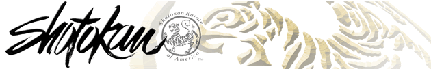 SKA banner